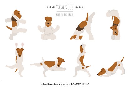 Yoga dogs poses and exercises poster design. Smooth fox terrier and wire fox terrier clipart. Vector illustration