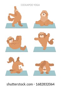 Yoga dogs poses and exercises poster design. Cockapoo clipart. Vector illustration