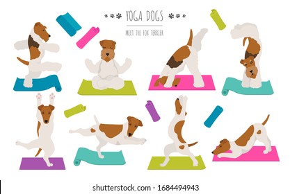 Yoga dogs poses and exercises poster design. Smooth fox terrier and wire fox terrier clipart. Vector illustration