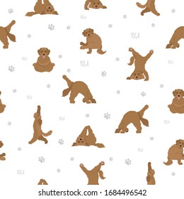 Yoga dogs poses and exercises poster design. Labradoodle seamless pattern. Vector illustration