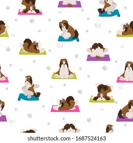 Yoga dogs poses and exercises poster design. Shih tzu seamless pattern. Vector illustration