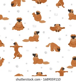 Yoga dogs poses and exercises poster design. Leonberger seamless pattern. Vector illustration