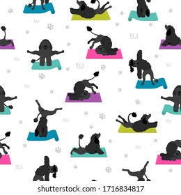 Yoga dogs poses and exercises poster design. Portuguese water dog  seamless pattern. Vector illustration