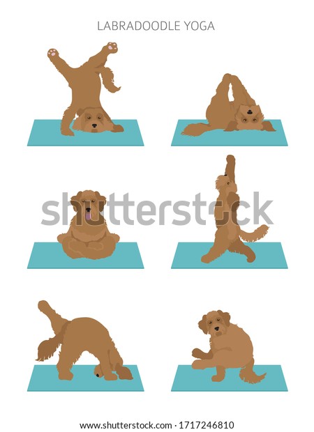 Yoga Dogs Poses Exercises Poster Design Stock Vector (Royalty Free ...