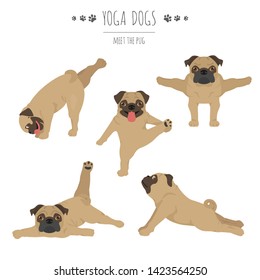 Yoga dogs poses and exercises. Pug clipart. Vector illustration