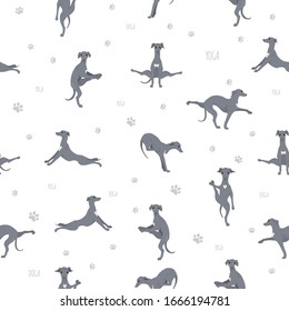 Yoga dogs poses and exercises seamless pattern design. Italian greyhound  clipart. Vector illustration