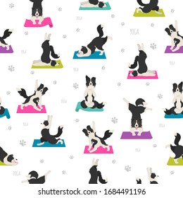 Yoga dogs poses and exercises seamless pattern design. Border collie clipart. Vector illustration