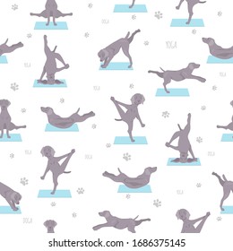 Yoga dogs poses and exercises seamless pattern design. Weimaraner clipart. Vector illustration