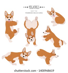 Yoga dogs poses and exercises. Welsh corgi pembroke clipart. Vector illustration