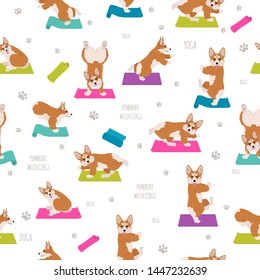 Yoga dogs poses and exercises. Welsh corgi pembroke seamless pattern. Vector illustration