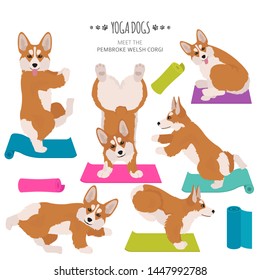 Yoga dogs poses and exercises. Welsh corgi pembroke clipart. Vector illustration