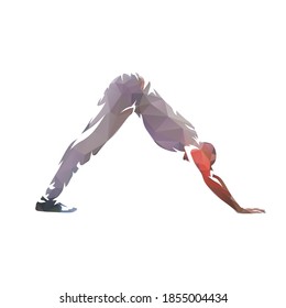 Yoga, downward dog position. Meditation isolated low polygonal vector illustration, side view. Practicing man