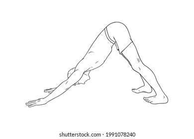 Yoga Downward Facing Dog Pose or Svanasana. Man practicing yoga. Sketch vector illustration isolated on white background