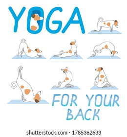 Yoga exercises for your back and cute character Jack Russell Terrier as a concept for asana, activity, sport, health. Flat or outline vector stock illustration with dog doing yoga against back pain
