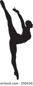 Yoga and Fitness Silhouettes: Achieving Proportional Body with Leg Stretches Elevate Your Fitness and Body Shape