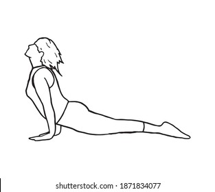 Yoga lady in cobra pose stretching and exercising her body and spine in full potential, hand drawn outline illustration. Fitness woman living healthy lifestyle. Relaxation in the gym hand made symbol.