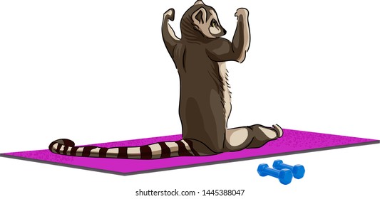 yoga. lemur sitting on a yoga mat with dumbbells