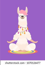 Yoga llama meditates isolated on purple background. Vector illustration.