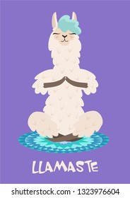 Yoga llama meditates isolated on purple background. Vector illustration.