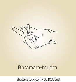 Yoga mudra. Bhramara-mudra yoga gesture hands.