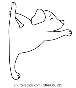 Yoga pets. A cute and funny puppy stands in an asana. Dog yoga. Dog athlete doing gymnastics. Outline. Vector 