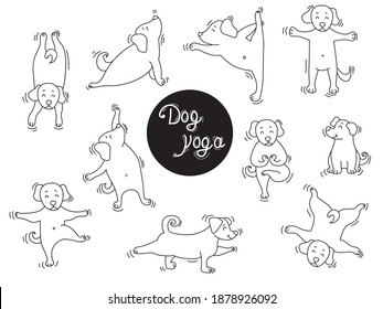 Yoga pets. Dog yoga a set of pictures. Lovely puppies stand in an asana. Outline. Vector