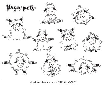 Yoga pets. Lovely sheep get up in an asana and go in for sports, gymnastics and meditate. Sheep yoga - set of linear decorative pictures. Vector illustration. Isolated on white