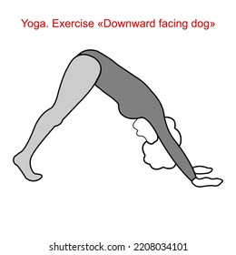 Yoga Pose. Downward Facing Dog Exercise. The Girl Goes In For Sports. Side View. Vector Graphics On A White Background.