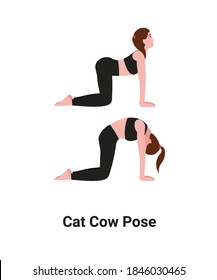 Yoga pose Marjaryasana to Bitilasana or Cat Pose to Cow Pose. Flat vector cartoon woman character practicing yoga for back pain.