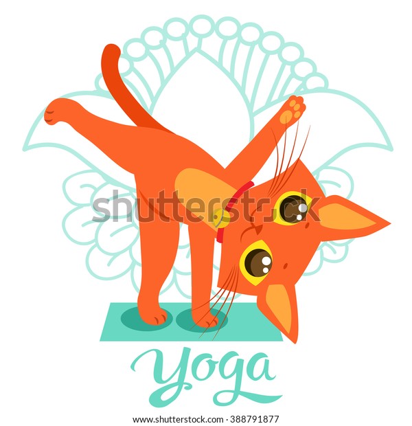 Yoga Pose Vector Cute Yoga Cat Stock Vector (Royalty Free) 388791877 ...