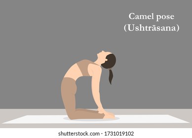 pose de yoga. Ilustración vectorial. Posición del camello