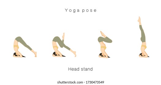 pose de yoga. Aislamiento vectorial en el fondo blanco El yoga vectorial de dibujos animados plantea una saludable y bella.