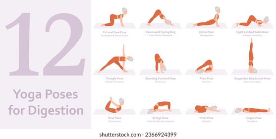 Yoga poses for Digestion. Elderly woman practicing yoga asana. Healthy lifestyle. Full body yoga, fitness, aerobic and exercises workout. Flat cartoon character. Vector illustration