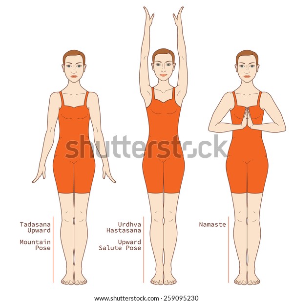 yoga poses tadasana urdhva hastasana namaste stock vector royalty free 259095230 https www shutterstock com image vector yoga poses tadasana urdhva hastasana namaste 259095230