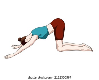 Yoga position (a.k.a asana) vector illustration. Position 12