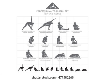 Yoga professional icon set 1