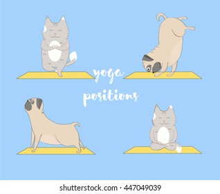 Yoga pugs and cats set. Cute pugs and cats doing yoga. Cartoon funny animals