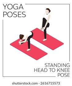 Yoga Standing Head to Knee Pose Isometric Vector Set