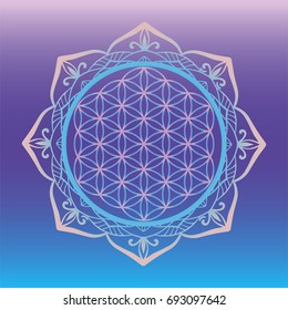 Yoga studio logo, Flower of Life framed with round mandala, sacred geometry symbols and elements for alchemy, spirituality, religion, philosophy, astrology logo.