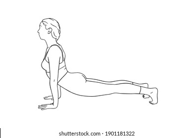 Yoga Upward-Facing Dog pose or Urdhva Mukha Svanasana. Woman practicing strengthing yoga pose. Engraved vector illustration isolated on white background