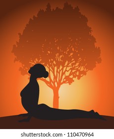Yoga woman in cobra pose. Sunset and tree. Vector
