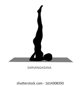 Women Silhouette. Supported Shoulderstand Yoga Pose. Salamba
