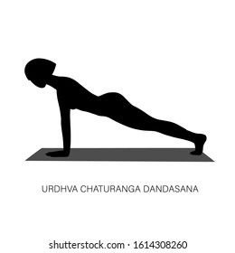 Yogi Woman Urdhva Chaturanga Dandasana Fourlimbed Stock Vector (Royalty ...