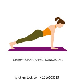 Yogi woman in Urdhva Chaturanga Dandasana or Four-Limbed Staff Pose. Female cartoon character practicing Hatha yoga. Girl demonstrating exercise during gymnastics training. Flat vector illustration.