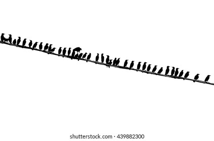 Yong starlings on the wire. Silhouettes.