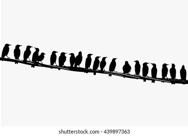 Yong starlings on the wire.Silhouettes.