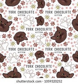 York Chocolate : Cat breed collection : Seamless Pattern : Vector Illustration
