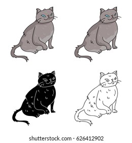 York Chocolate icon in cartoon style isolated on white background. Cat breeds symbol stock vector illustration.