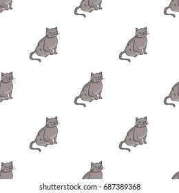 York Chocolate icon in cartoon style isolated on white background. Cat breeds symbol stock vector illustration.