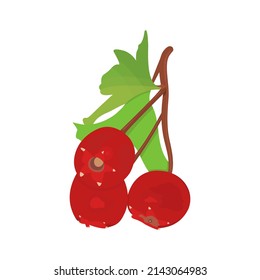 York Imperial apple Fruit Vector flat design graphic 2d HD